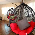 The Bunk By Olive
